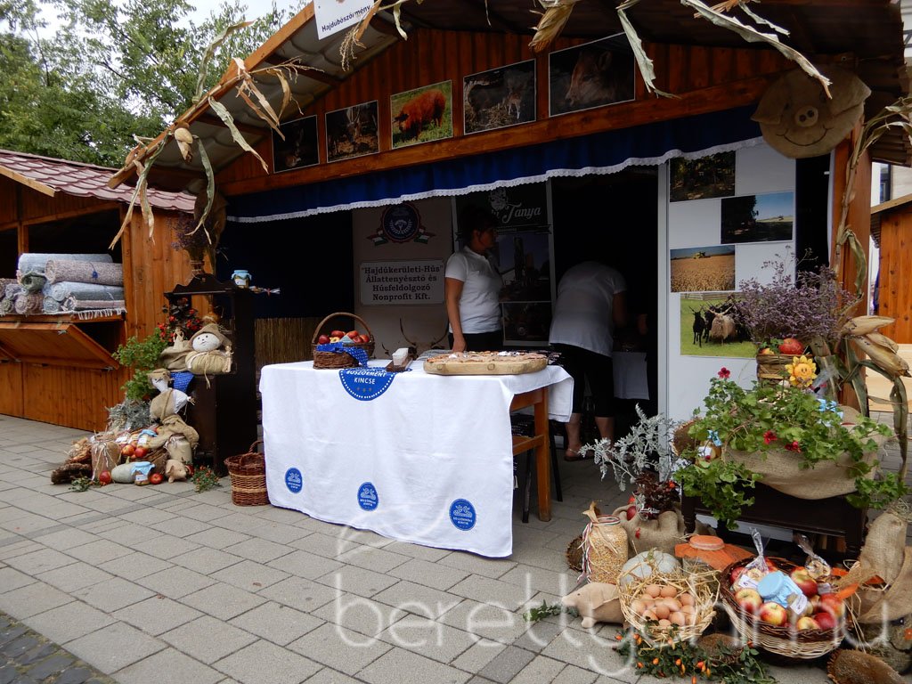 Helyi Értékek Startja 31